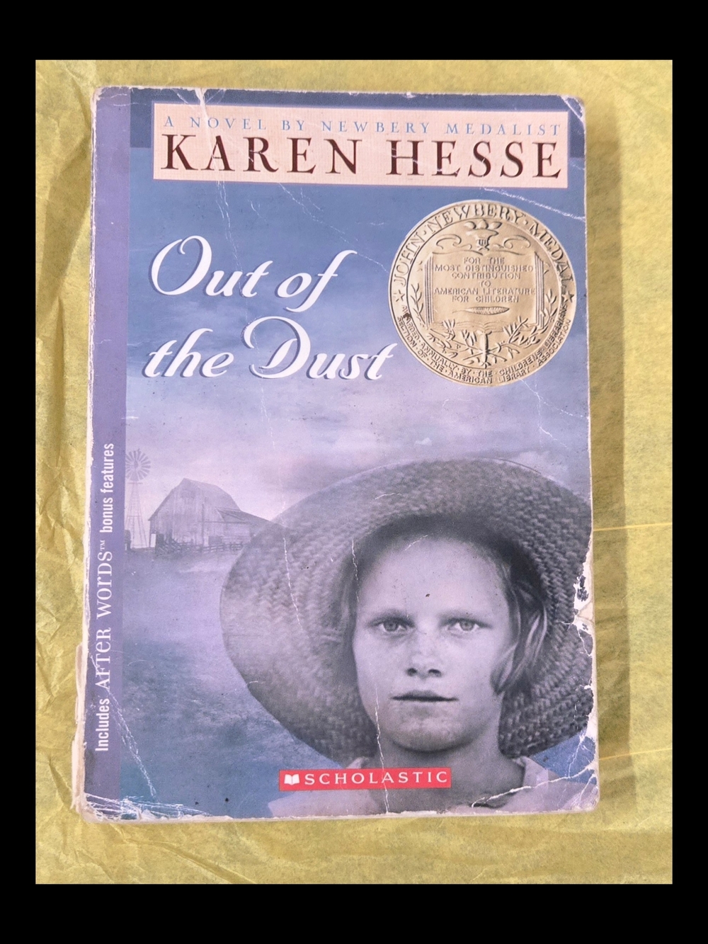 OUT OF THE DUST BY KAREN HESSE